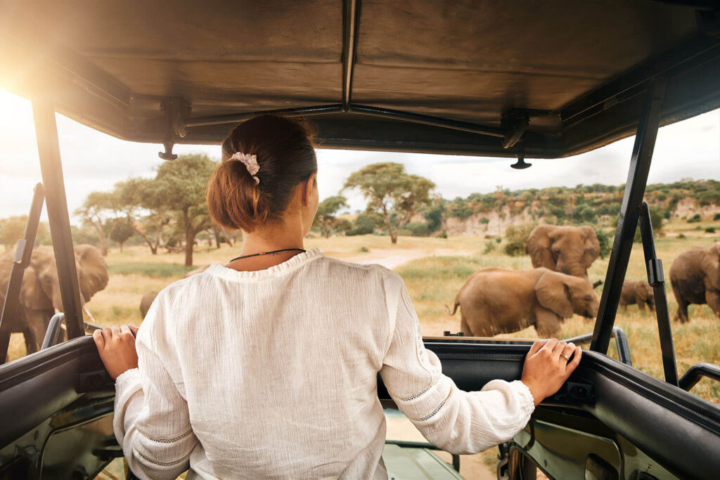 How much is Tanzania Safari? Thumbnail